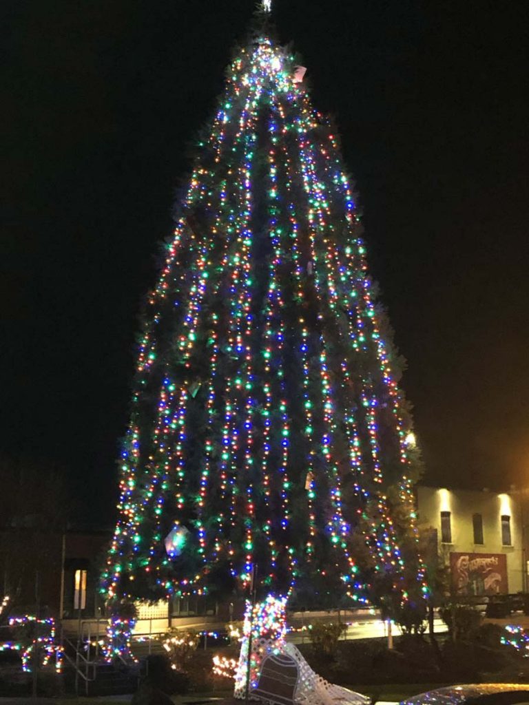 Silverton Christmas Tree