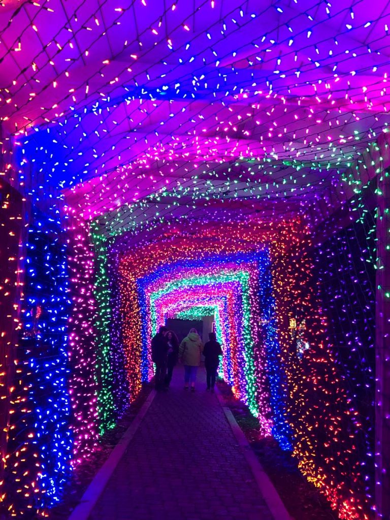 Tunnel of Christmas lights