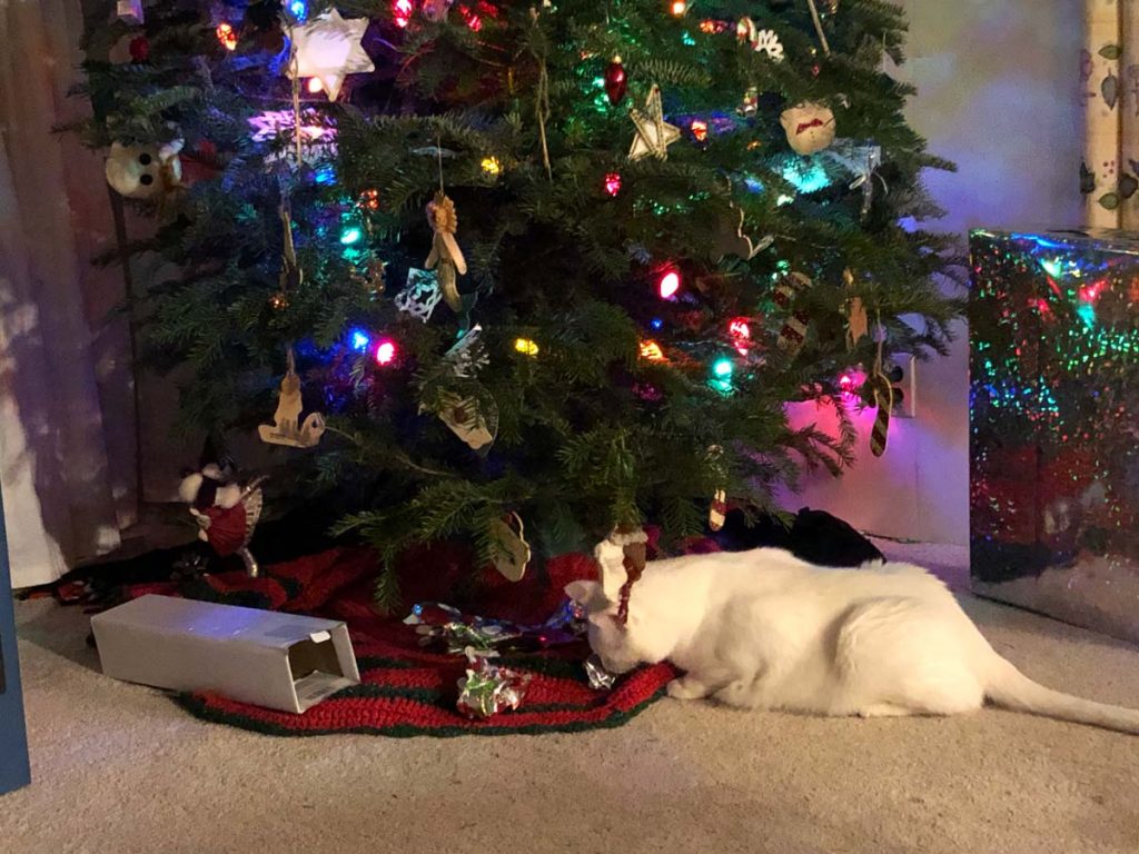 Christmas presents for kitties