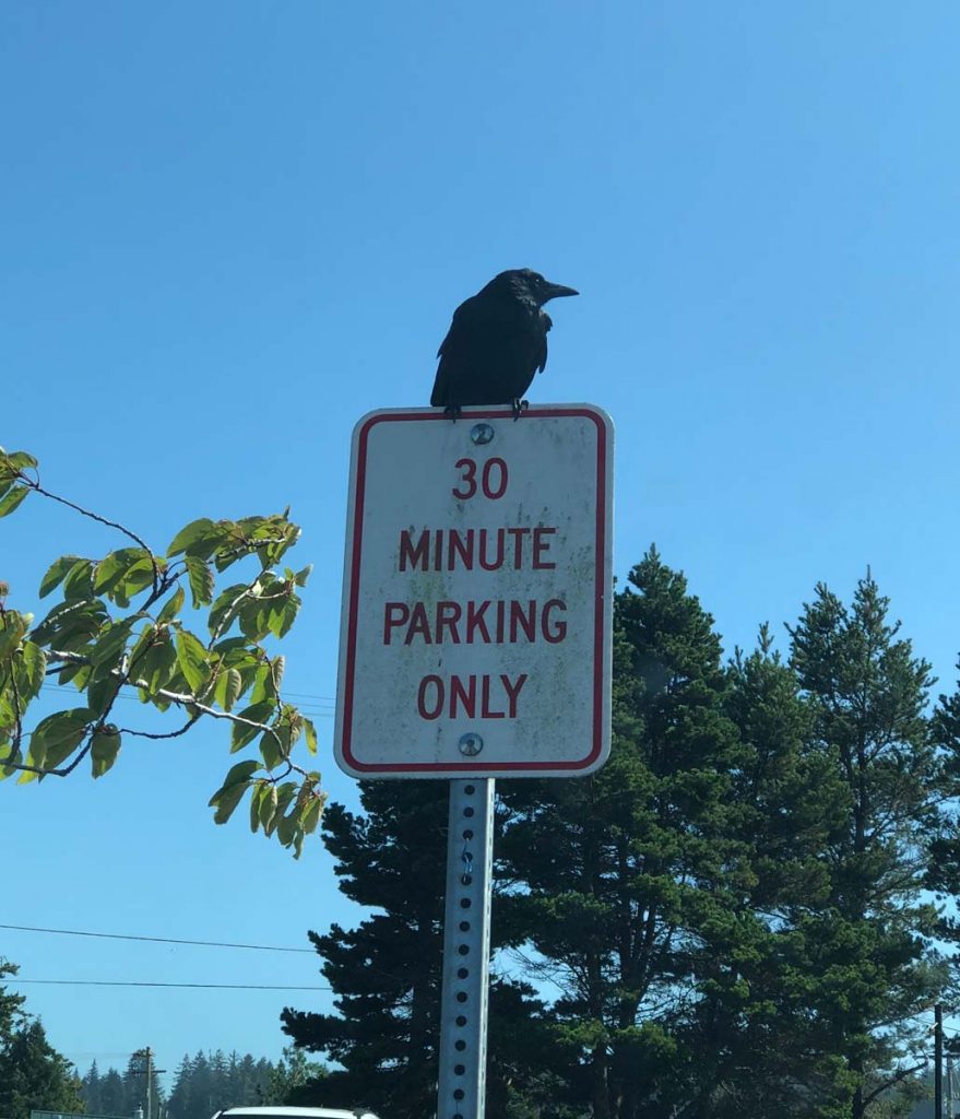 30-minute parking crow