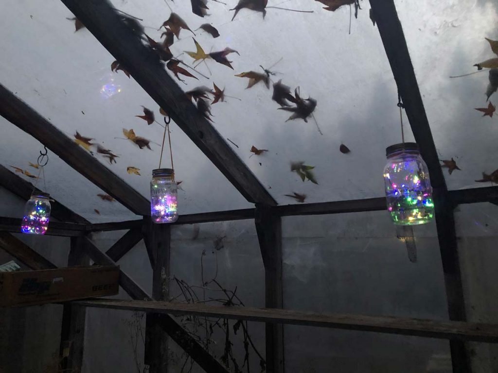 Solar Jar Lights in the greenhouse