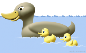 Duck & Ducklings