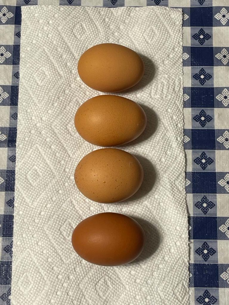 Shades of brown egg